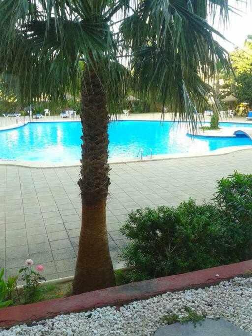 Piso Moderno Con Piscina Siesta 2 Apartment Port de Alcudia  Ngoại thất bức ảnh
